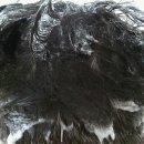 우리가족헤어 이미지