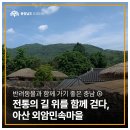 반려동물과 함께 가기 좋은 충남 - ④ 전통의 길 위를 함께 걷다, 아산 외암민속마을