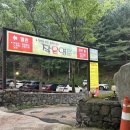 강아지영토 이미지