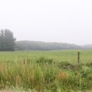 아로목장 이미지