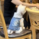 영등포 양꼬치 맛집 추천 '우림양꼬치' 후기