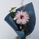 쉐마플라워 이미지