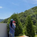 올라운드 원 | 홍천 올라운드원 숙소 🏡 7개월 아기와 다녀온 내돈내산 후기