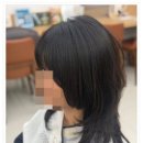 성포 초등학교 | 봄맞이 레이어드 C컬펌 안산미용실 파슈헤어 후기