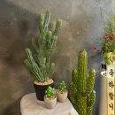 타코바이트 | 마곡 점심맛집 타코바이트에서 찐 멕시코음식 먹고 온 후기