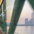 영도펫마트 이미지