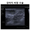 S동물의료센터 이미지