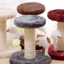 코코앤그레이 이미지