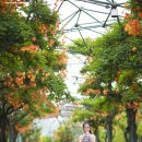 부천중앙공원 이미지