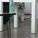 섬김터 | 2026 체험판 후기