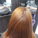 소프레사 이미지