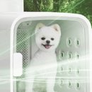 펫샤워 이미지