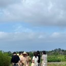 리얼플랜제주
