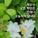 화요일 - 강릉시 범일로 601 | 화요일
