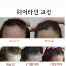 코라인 헤어 이미지