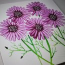 아크릴화(야간) 이미지