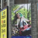 다정목장 | 강릉-평창대관령여행/ 갤러리밥스, 카페 정미소, 툇마루, 대방어회, 장칼, 대관령코스터, 대관령양떼목장