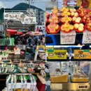 자인공설시장(동부리) | 경북 자인 오일장(3. 8장) 시장 먹거리 시골 장날 9월 나들이