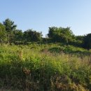 110헤이리 이미지