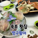 속초 대포항 횟집 항구활어 대게 맛집 후기