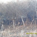 송계농장 이미지