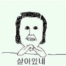 풍미식당 이미지