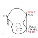근육연구소 이미지