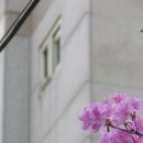 스크래치 2.0 입문 이미지