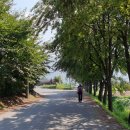 술샘체육관 이미지