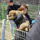 지켜줄개 이미지