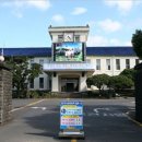 제주부동산중개사무소 이미지