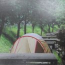 민주지산자연휴양림야영장 이미지