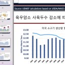 [분당/정자동]식사 대접하고 칭찬받은 곳, 우상화로구이(내돈내산)