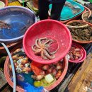 부산활어 이미지