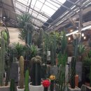 예원한의원 이미지