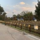 구리 토평 가족캠핑장 이미지