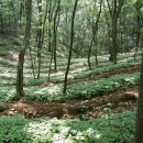 백암농원 이미지