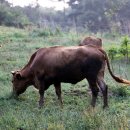 정다운농장 이미지