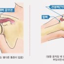 라임나무한의원 이미지