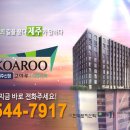 디펠리체 이미지
