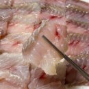 일신수산 이미지