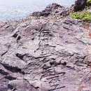 해운대 동백섬(海雲臺冬栢섬)과 오륙도( 五六島) 이미지