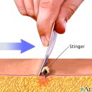 분당데이지동물병원 이미지