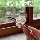 올림머리집게핀 여름 악세사리 추천 핸드메이드샵 벨르진