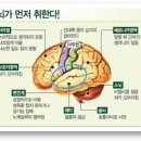 술과 건강 이미지