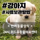 24시위드유동물의료센터