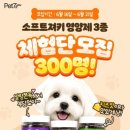 세븐공간솔루션 | 분리불안&스트레스 관리를 위한 수의사 추천 영양간식, ‘펫세븐 스트레스 케어 소프트 져키’ 솔직 후기!