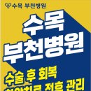 Q. 췌십이지장절제술(휘플 수술)이란 어떤 수술인가요? 이미지