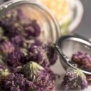 레드클로버 이미지