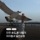 솔찬공원(주차장) | 인천 송도 가볼 만한 곳, 바다 뷰가 좋았던 솔찬공원 후기